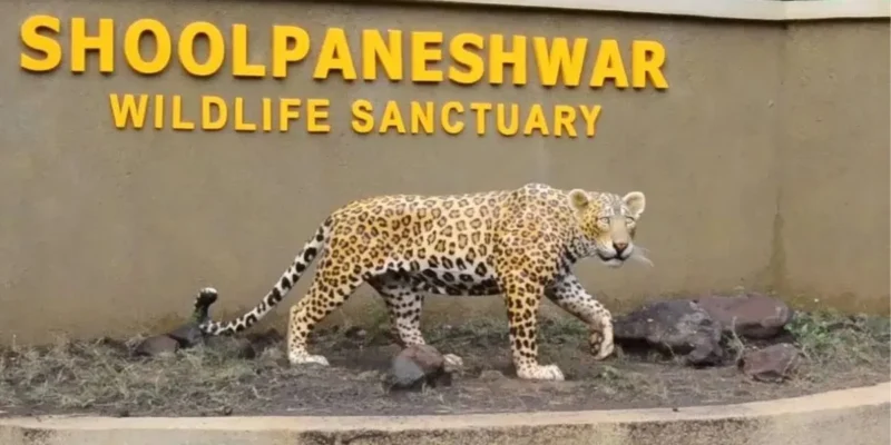Shoolpaneshwar Wildlife Sanctuary